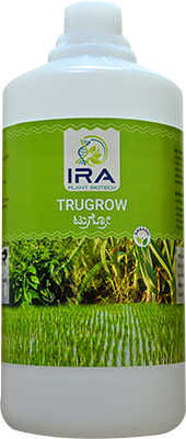 Best Way to Do Eco and Agriculture